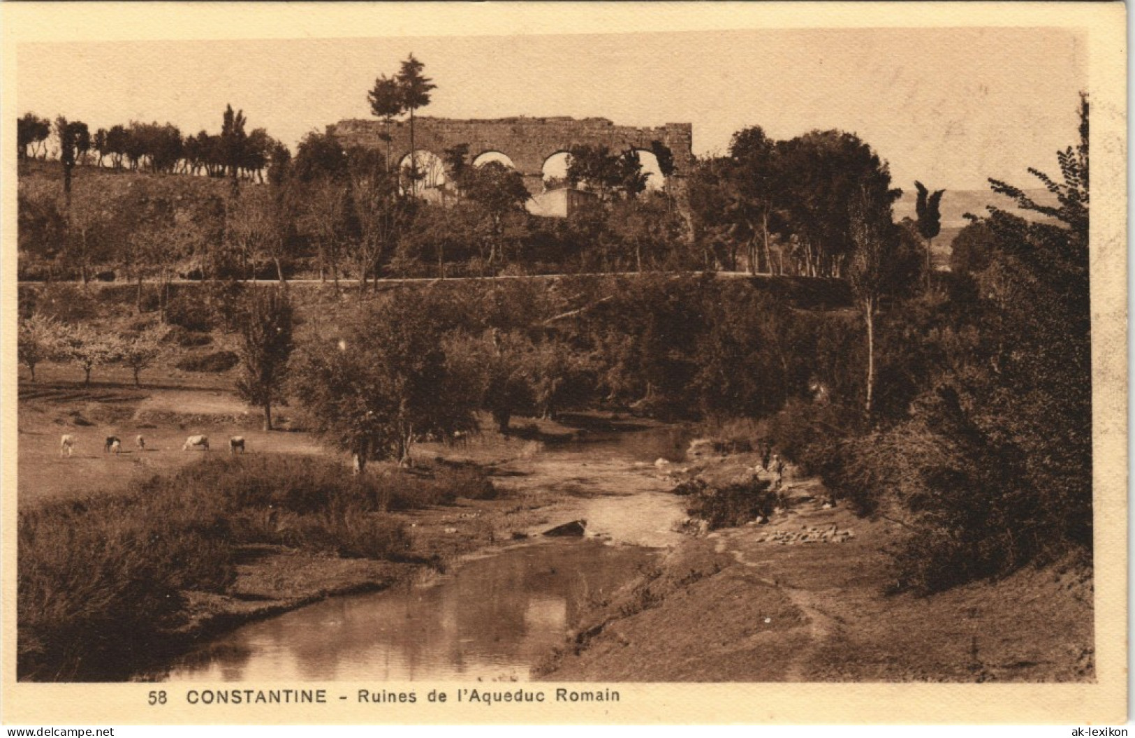 Constantine قسنطينة Ruines De L'Aqueduc Romain, Ruinen Der Römer 1910 - Constantine