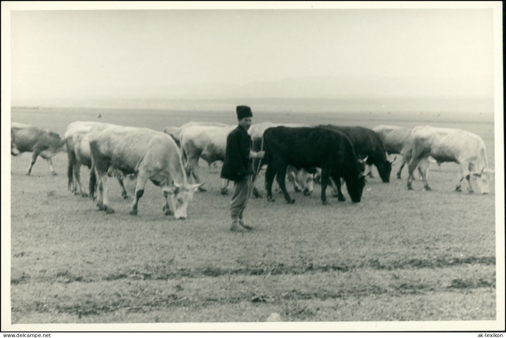 Bulgarien (allgemein) Trachten/Typen (Bulgarien) Hirte 1955 Privatfoto  - Bulgarien