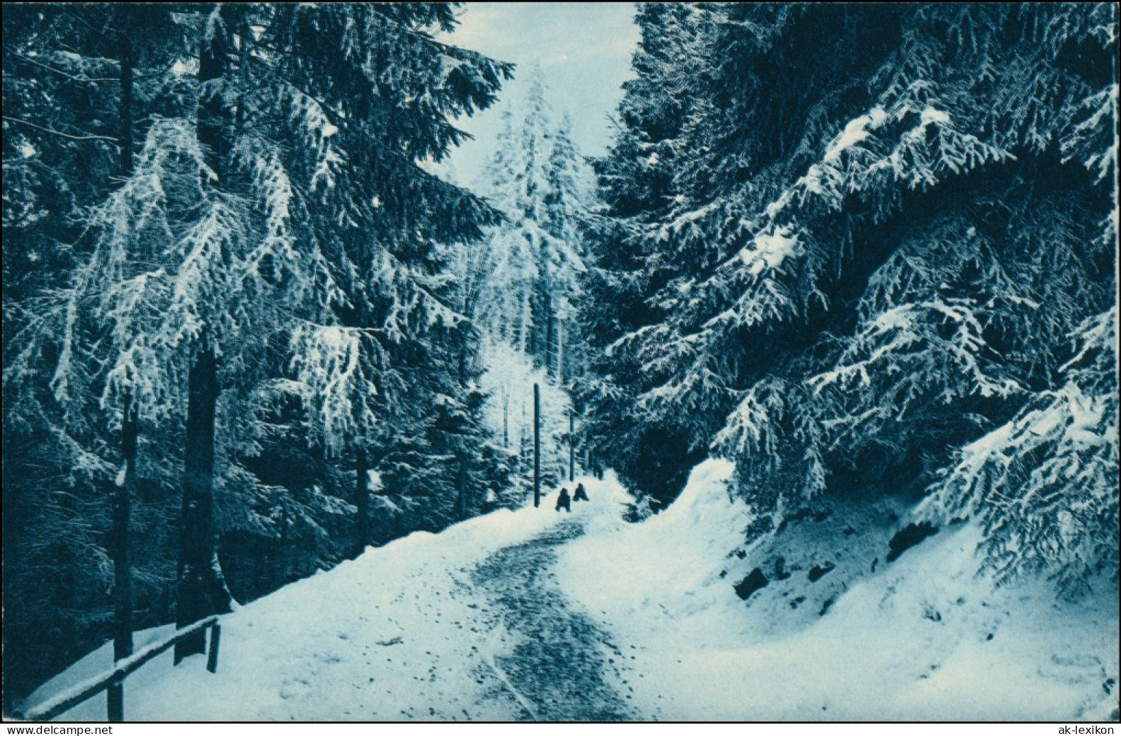 Ansichtskarte Bärenburg-Altenberg (Erzgebirge) Rodelbahn Im Winterwald 1913 - Kipsdorf