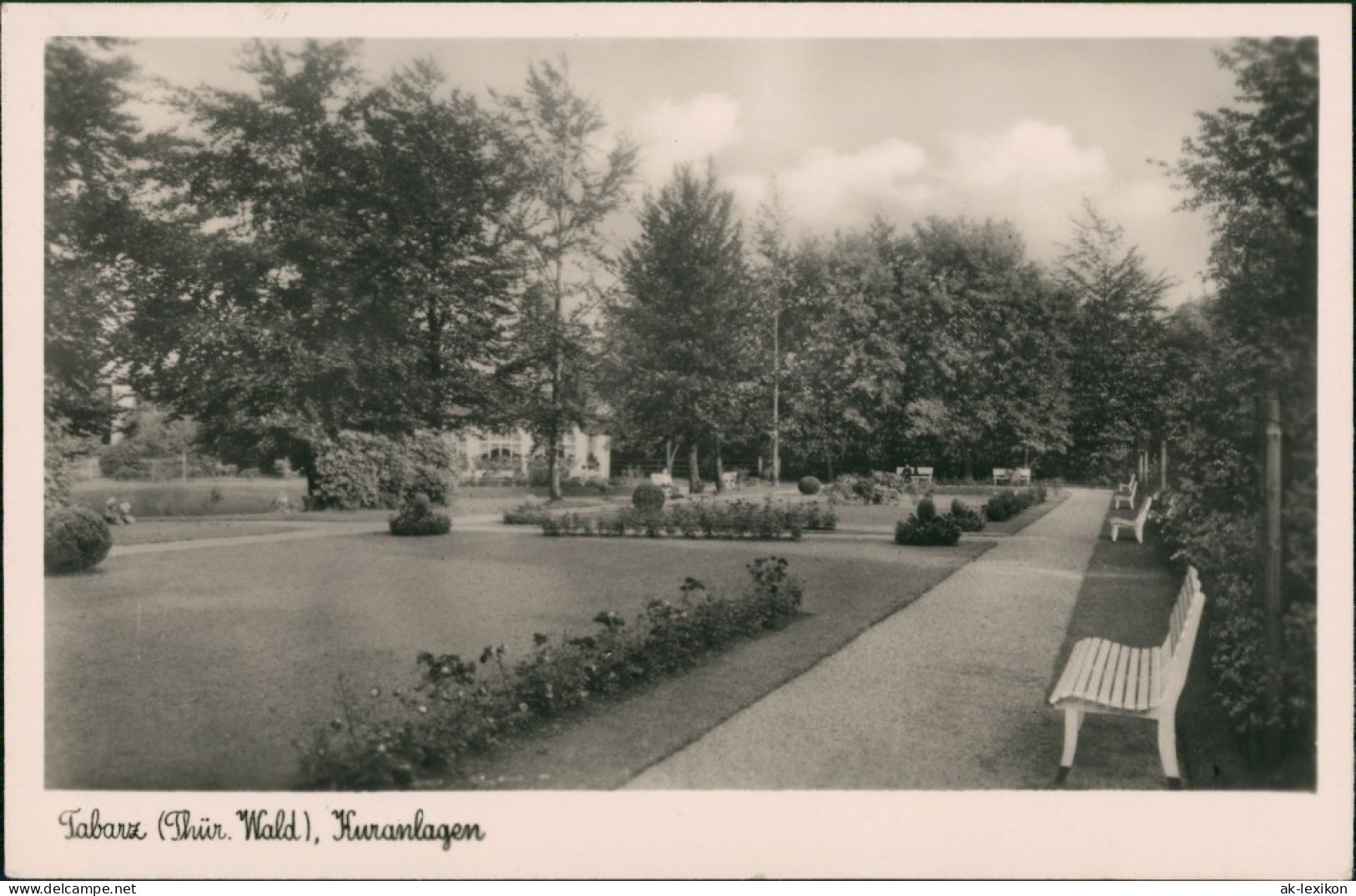 Tabarz/Thüringer Wald Kurpark, Kuranlage, Park Gepflegt 1952   Gelaufen - Tabarz