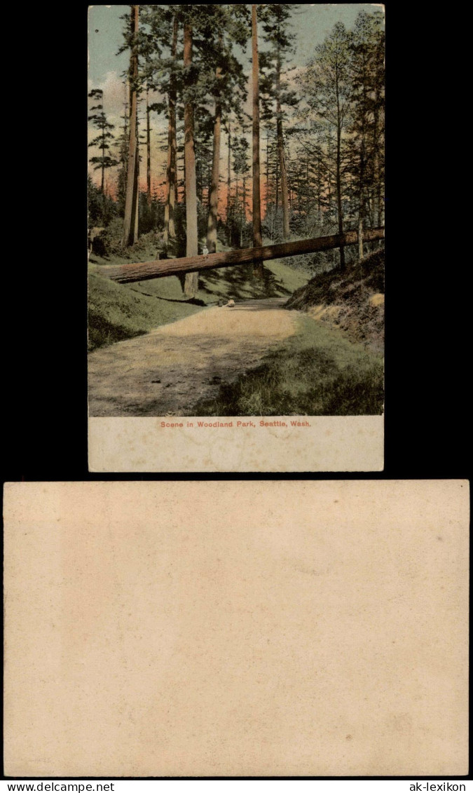 Postcard Seattle Scene In Woodland Park, Seattle, USA 1920 - Sonstige & Ohne Zuordnung