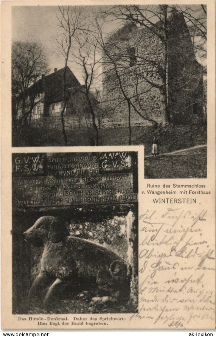 Ansichtskarte Waltershausen 2 Bild Ruine, Hunde-Denkmal 1906 - Waltershausen