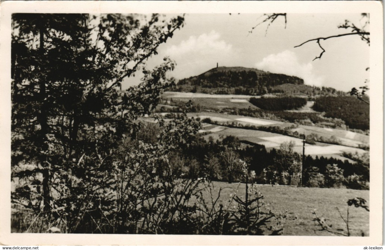 Geising-Altenberg (Erzgebirge) Geisingberg (Geising) Panorama DDR AK 1957 - Geising