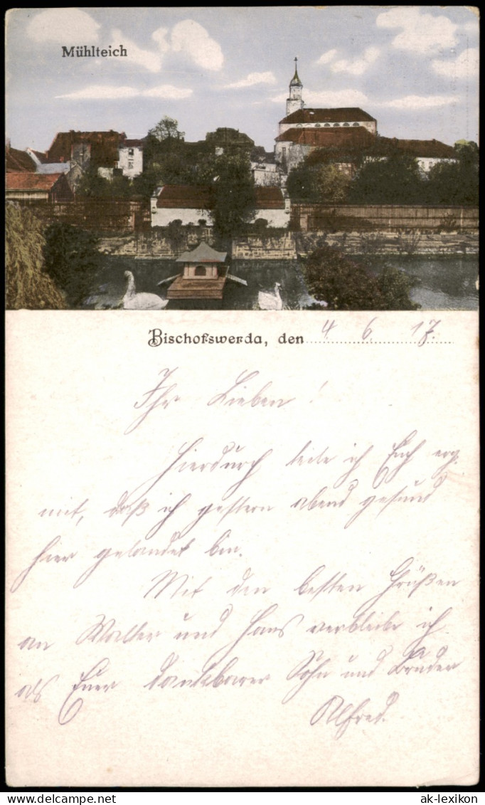 Ansichtskarte Bischofswerda Am Mühlteich 1917  Gel. Feldpost WK1 - Bischofswerda