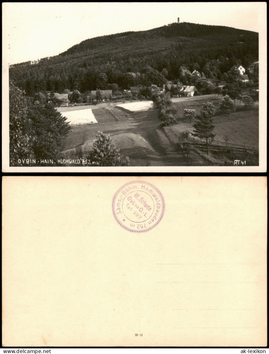 Ansichtskarte Oybin Hochwald/Hvozd - Oybin - Hain 1930 - Oybin