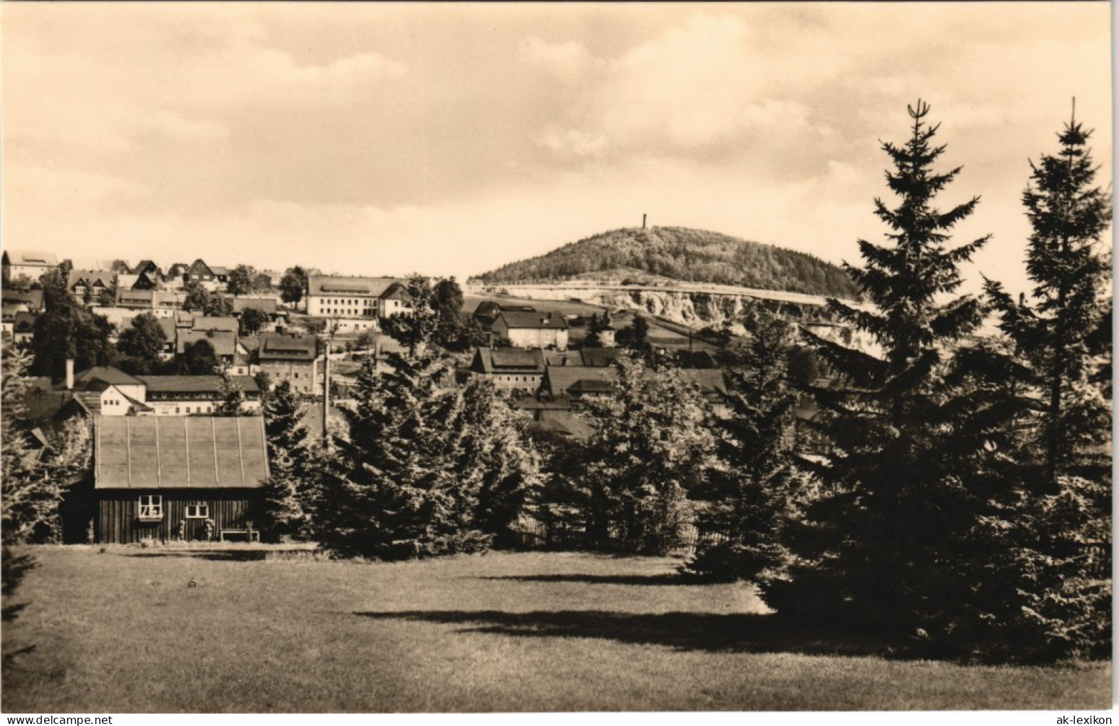 Ansichtskarte Altenberg (Erzgebirge) Panorama-Ansicht Zu DDR-Zeiten 1966 - Altenberg