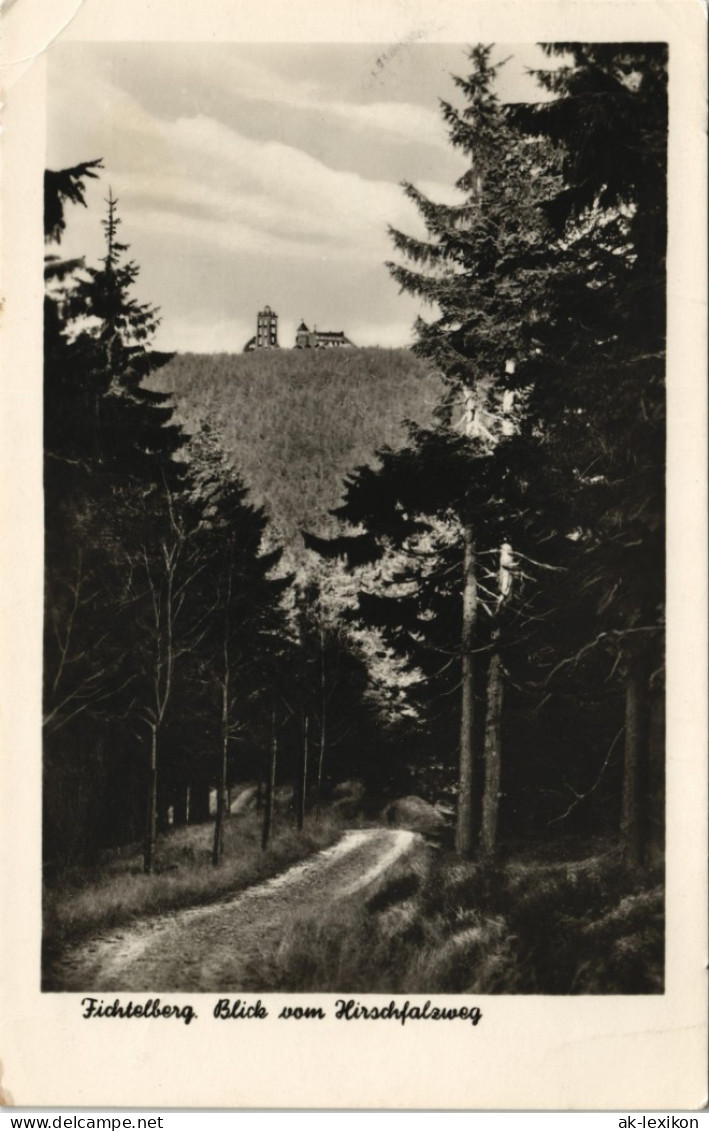 Ansichtskarte Oberwiesenthal Fichtelberg Blick Vom Hirschfalzweg DDR AK 1956 - Oberwiesenthal