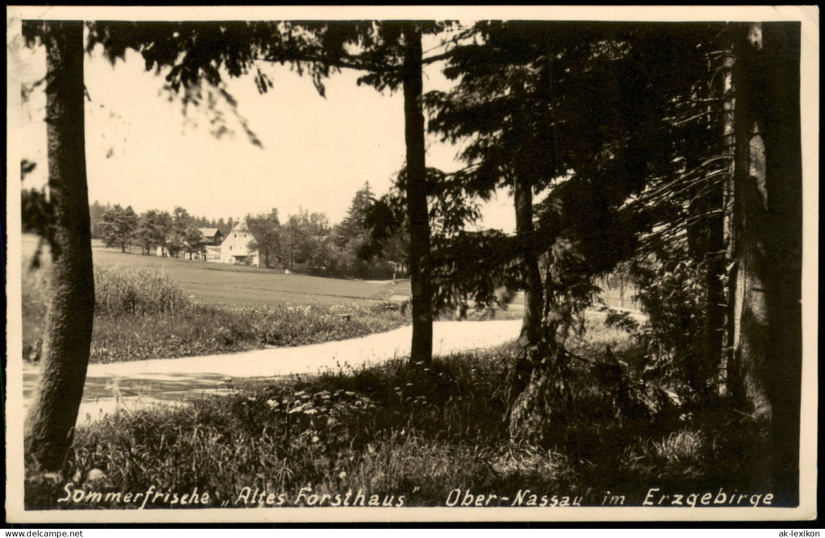 .Sachsen Sommerfrische Altes Forsthaus Ober-Nassau Im Erzgebirge 1960 - Frauenstein (Erzgeb.)