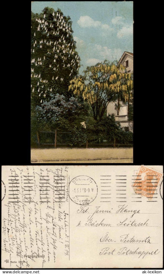 Ansichtskarte  Stimmungsbild: Frühling Baumblüte Haus 1918 - Other & Unclassified