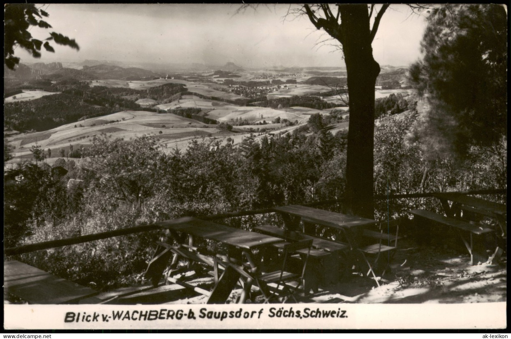 Ansichtskarte Saupsdorf-Sebnitz Wachberg - Restaurant 1963 - Kirnitzschtal