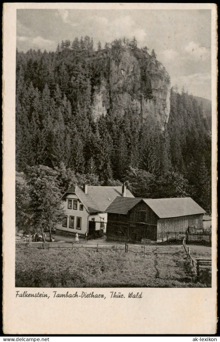 Ansichtskarte Tambach-Dietharz Falkenstein 1959 - Tambach-Dietharz