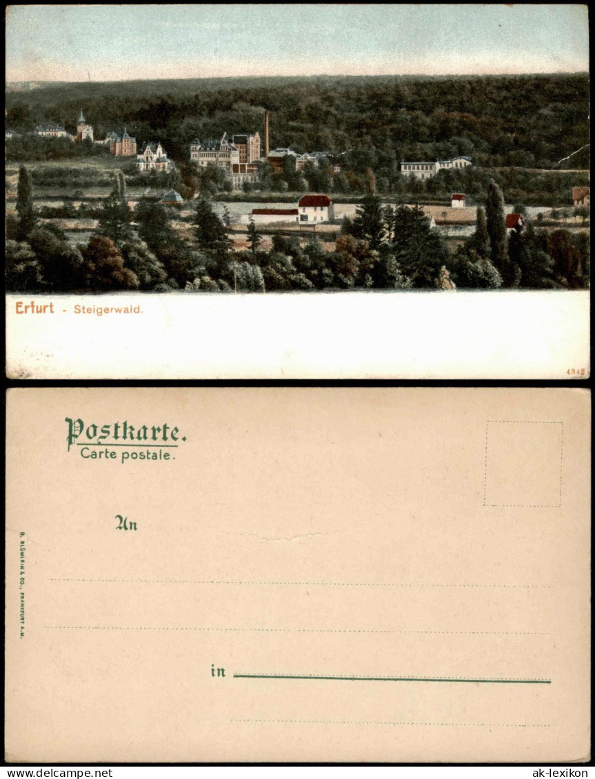 Ansichtskarte Löbervorstadt-Erfurt Steigerwald Panorama 1900 - Erfurt