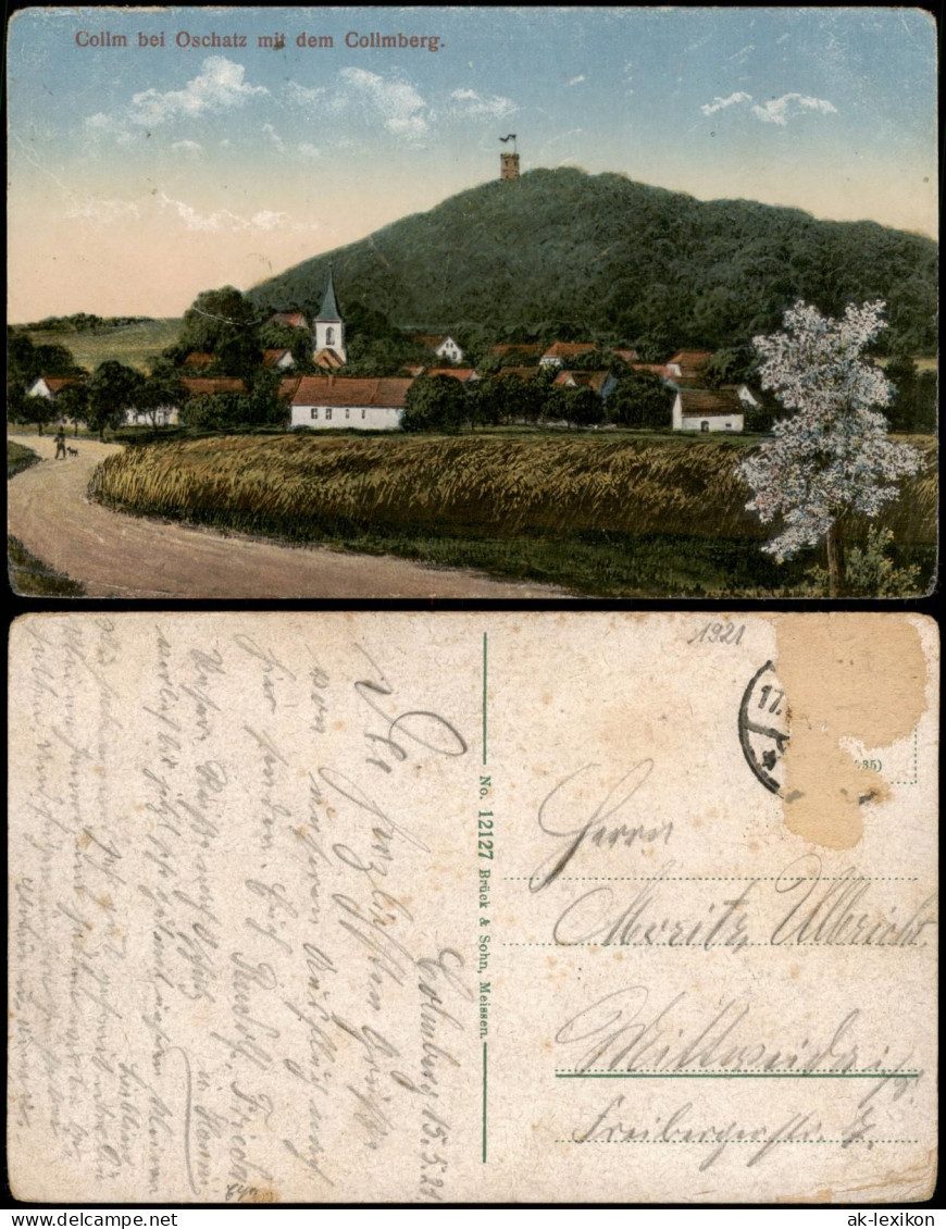 Ansichtskarte Collm-Wermsdorf Ortspartie Am Collmberg 1921 - Wermsdorf