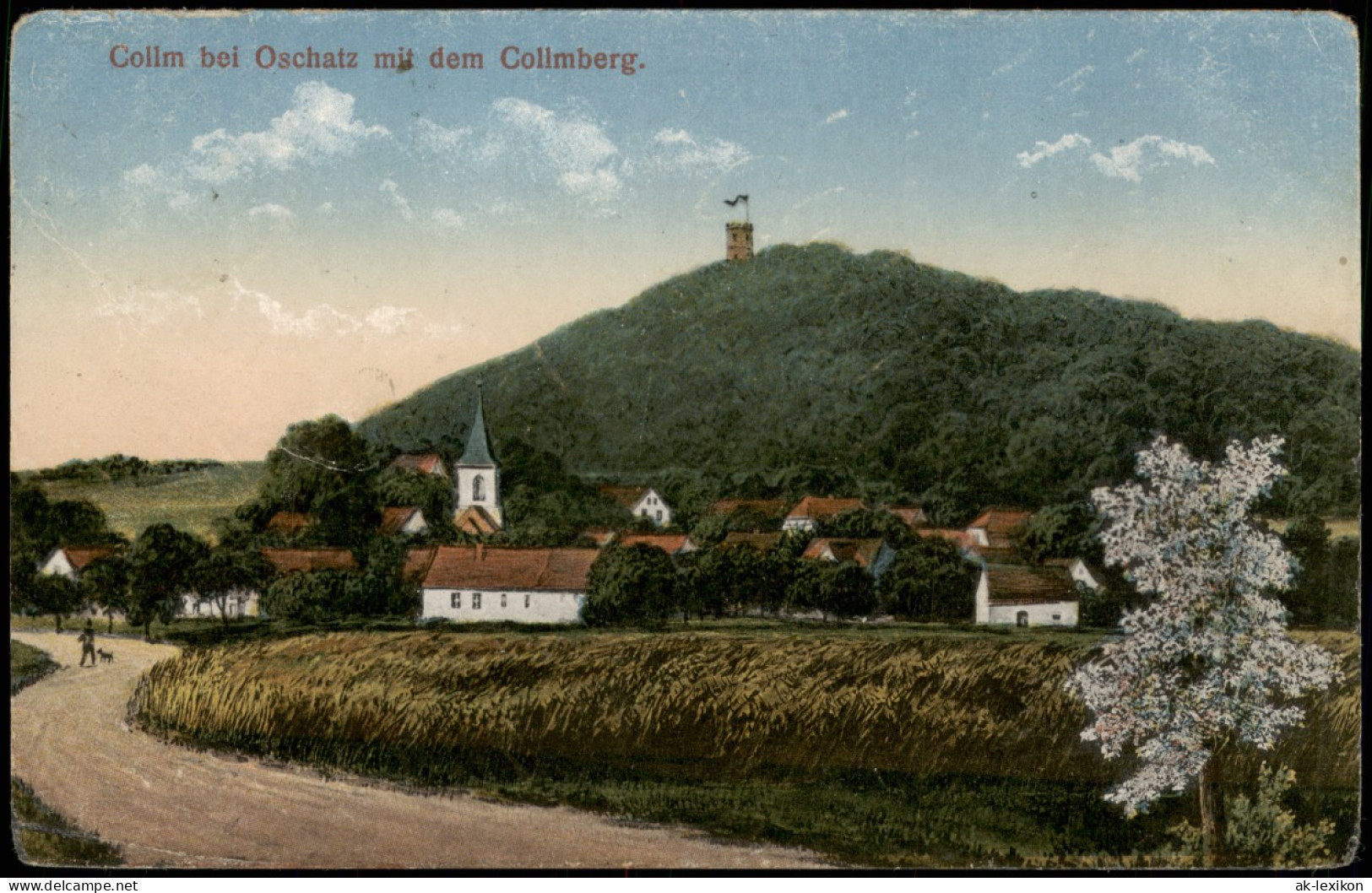 Ansichtskarte Collm-Wermsdorf Ortspartie Am Collmberg 1921 - Wermsdorf