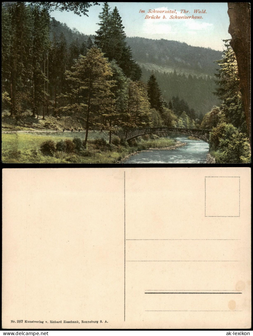 Tabarz Thüringer Wald Schwarzatal, Thüringer Wald, Brücke B. Schweizerhaus 1910 - Tabarz