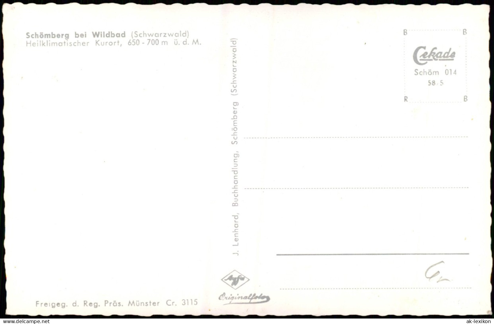 Ansichtskarte Schömberg (Schwarzwald) Luftbild 1958 - Schömberg