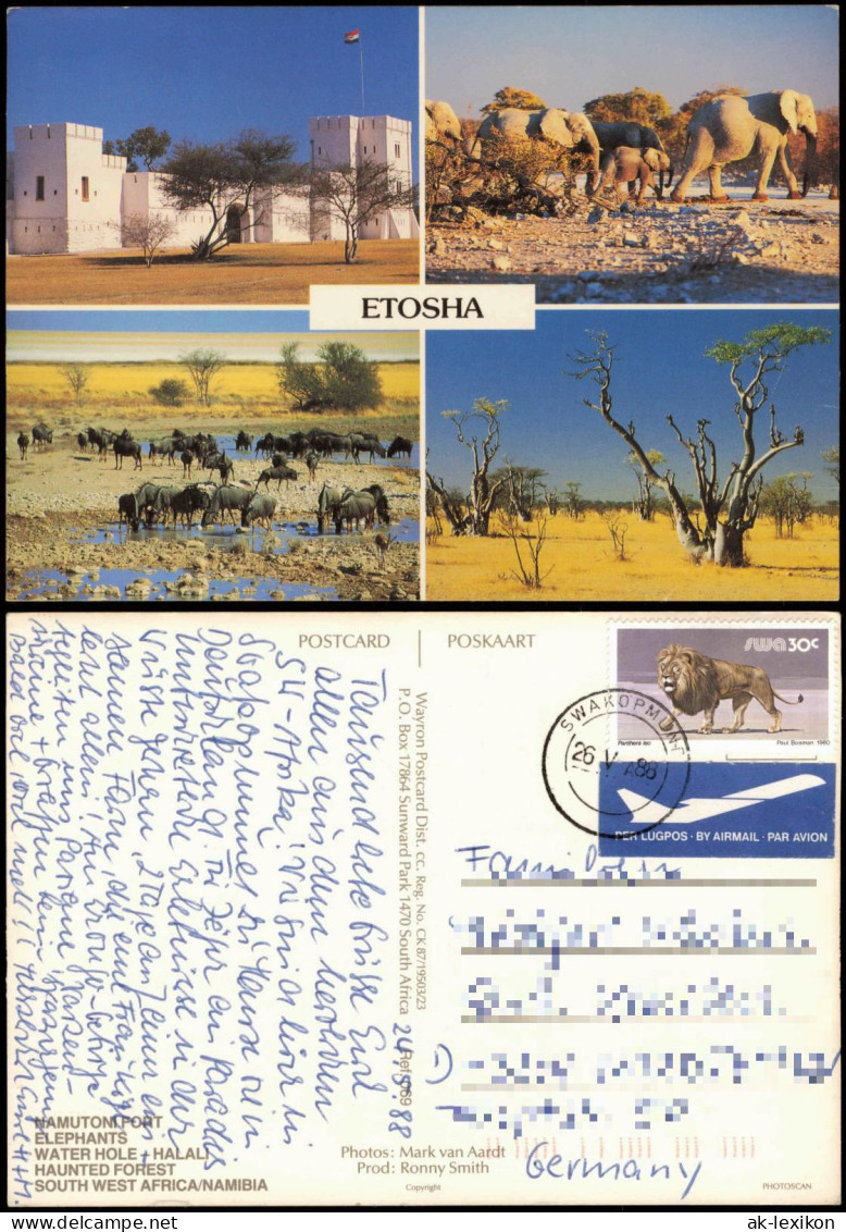 Postcard .Namibia Etosha 4 Bild 1988  Gel. Airmail - Namibia