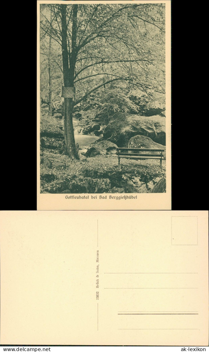Bad Gottleuba-Berggießhübel Gottleubatal Bank An Gottleuba Baum Mit Schild 1928 - Bad Gottleuba-Berggiesshuebel