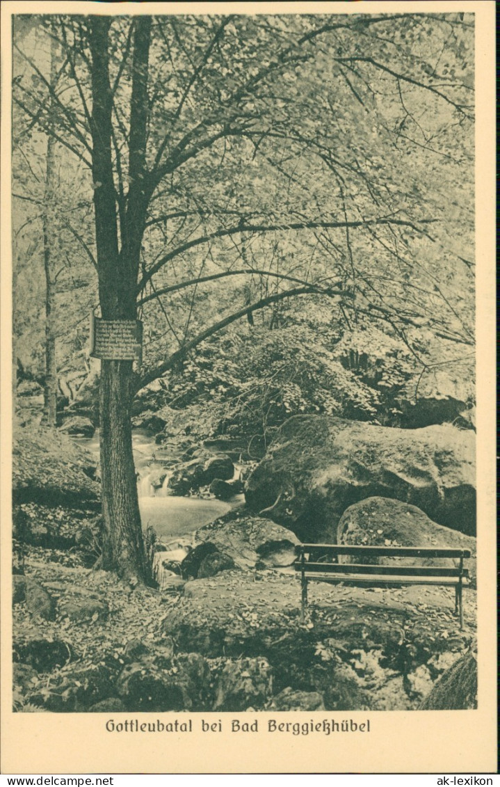 Bad Gottleuba-Berggießhübel Gottleubatal Bank An Gottleuba Baum Mit Schild 1928 - Bad Gottleuba-Berggiesshuebel