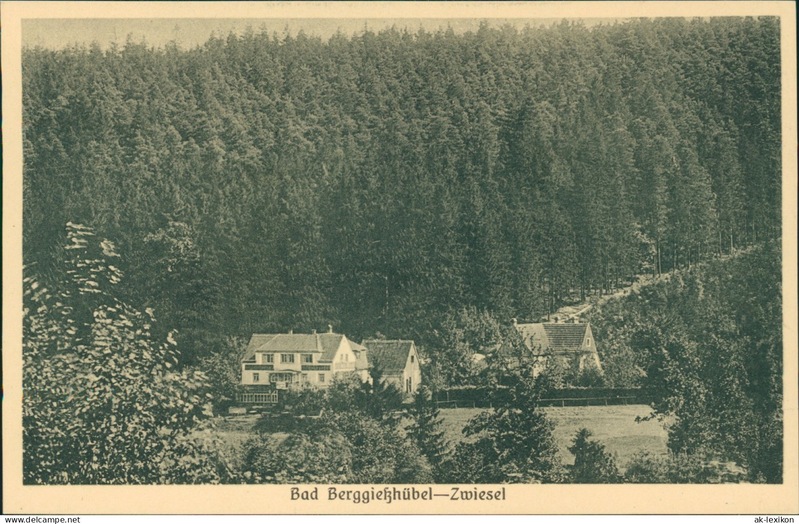 Ansichtskarte Zwiesel-Bad Gottleuba-Berggießhübel Häuser Am Waldrand 1928 - Bad Gottleuba-Berggiesshuebel