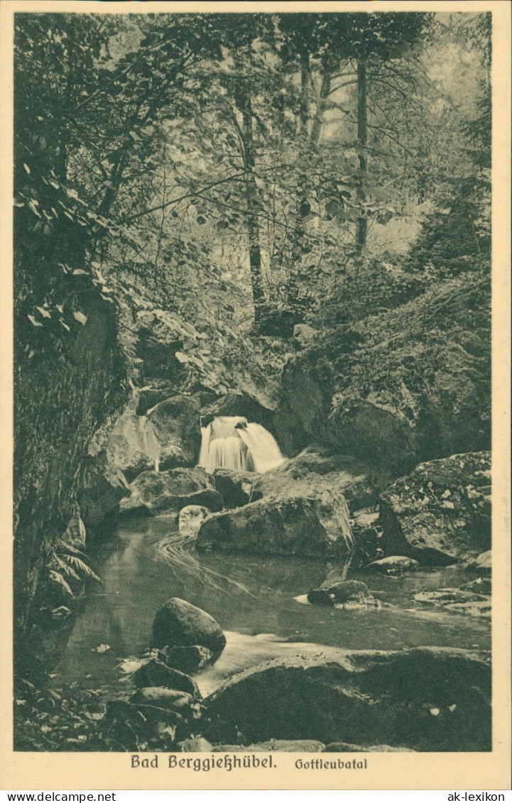 Ansichtskarte Bad Gottleuba-Berggießhübel Gottleubatal Wasserfall 1928 - Bad Gottleuba-Berggiesshuebel