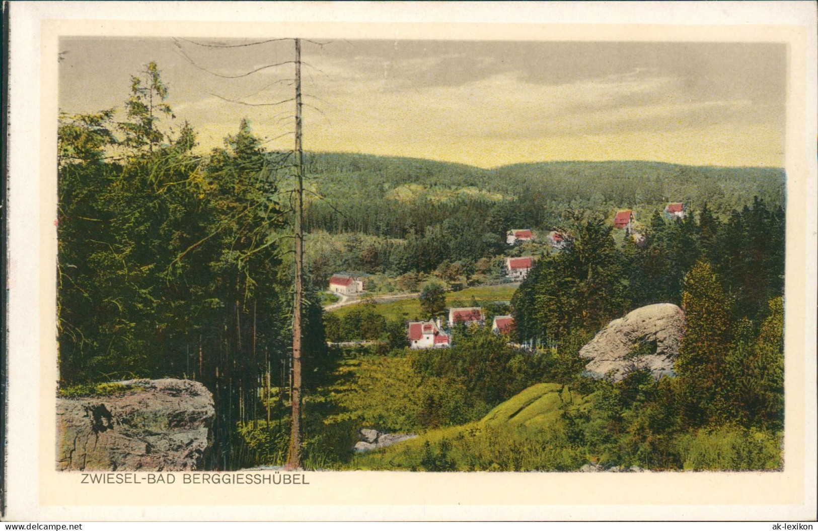 Ansichtskarte Zwiesel-Bad Gottleuba-Berggießhübel Blick Vom Berg 1928 - Bad Gottleuba-Berggiesshuebel