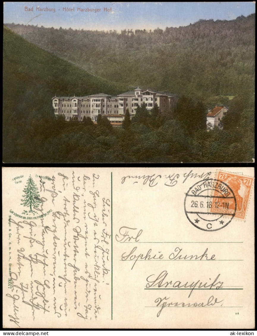 Ansichtskarte Bad Harzburg Partie Am Hôtel Harzburger Hof 1918 - Bad Harzburg