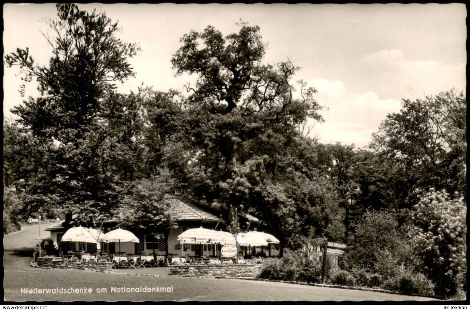 Ansichtskarte Rüdesheim (Rhein) Niederwaldschenke Am Nationaldenkmal 1961 - Rüdesheim A. Rh.