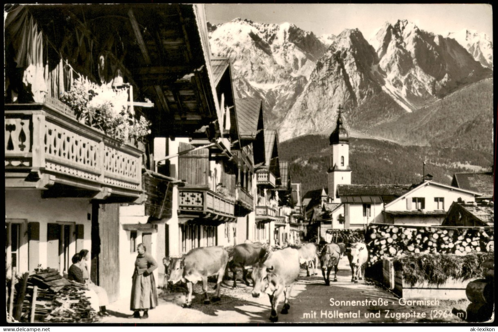 Ansichtskarte Garmisch-Partenkirchen Sonnenstraße, Kuhabtrieb 1959 - Garmisch-Partenkirchen