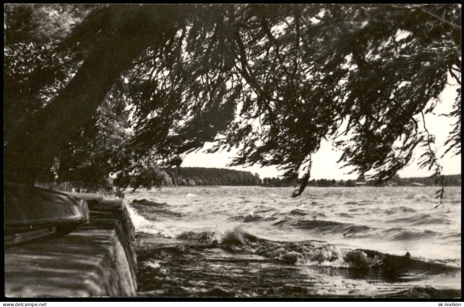 Ansichtskarte Waren (Müritz) Kietzpromenade Bei Sturm 1968 - Waren (Mueritz)