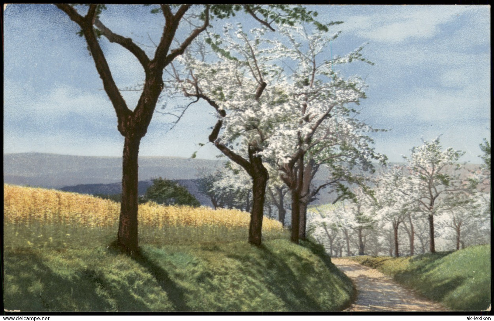 Ansichtskarte  Stimmungsbild: Frühling Blühende Bäume Photochromie 1911 - Other & Unclassified