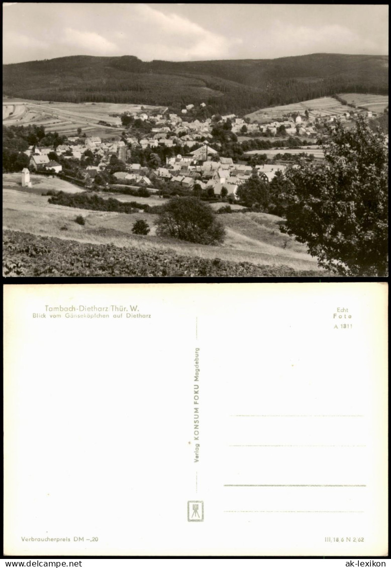 Tambach-Dietharz Panorama-Ansicht Blick Vom Gänseköpfchen Auf Dietharz 1962 - Tambach-Dietharz