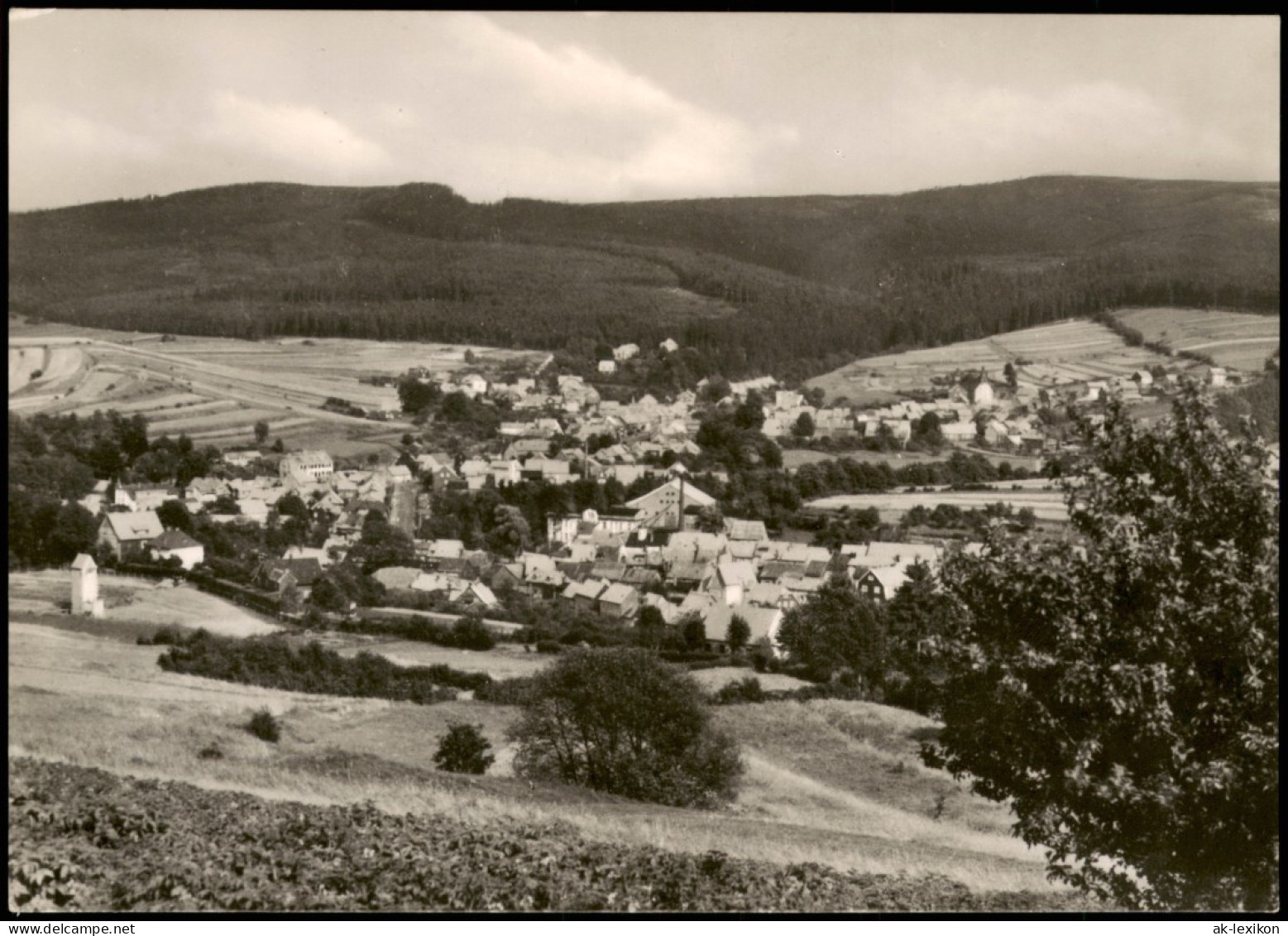 Tambach-Dietharz Panorama-Ansicht Blick Vom Gänseköpfchen Auf Dietharz 1962 - Tambach-Dietharz