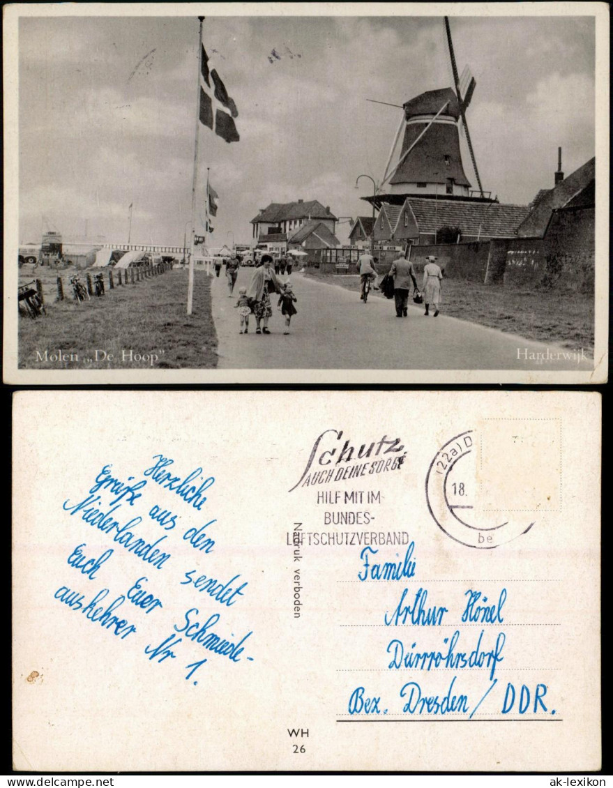 Postkaart Harderwijk Molen De Hoop Windmühlen Windmill 1952 - Harderwijk