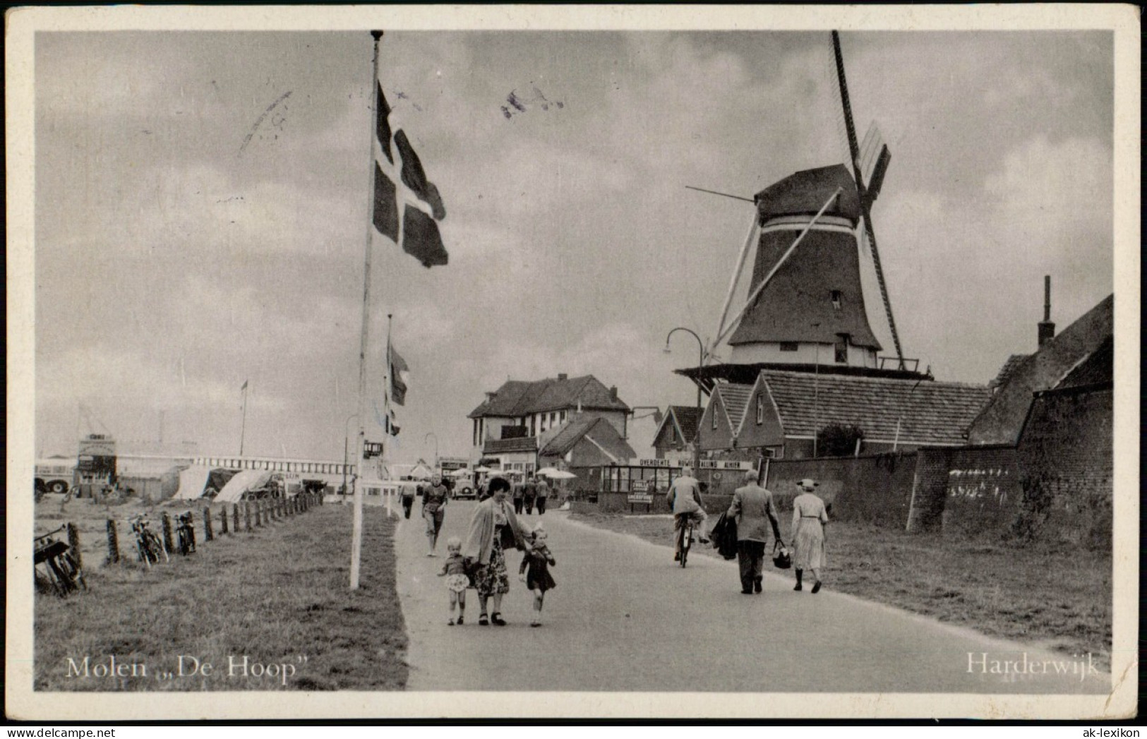 Postkaart Harderwijk Molen De Hoop Windmühlen Windmill 1952 - Harderwijk