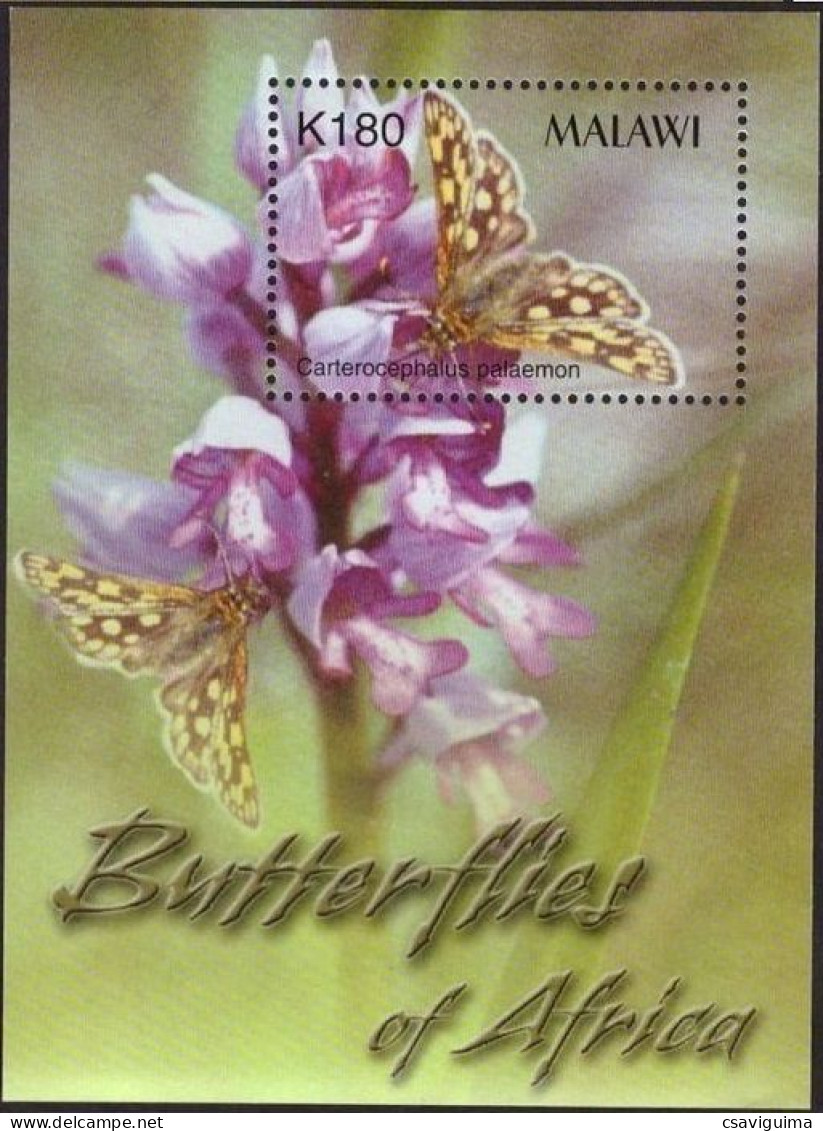 Malawi - 2003 - Insects: Butterflies - Yv Bf 80 - Farfalle