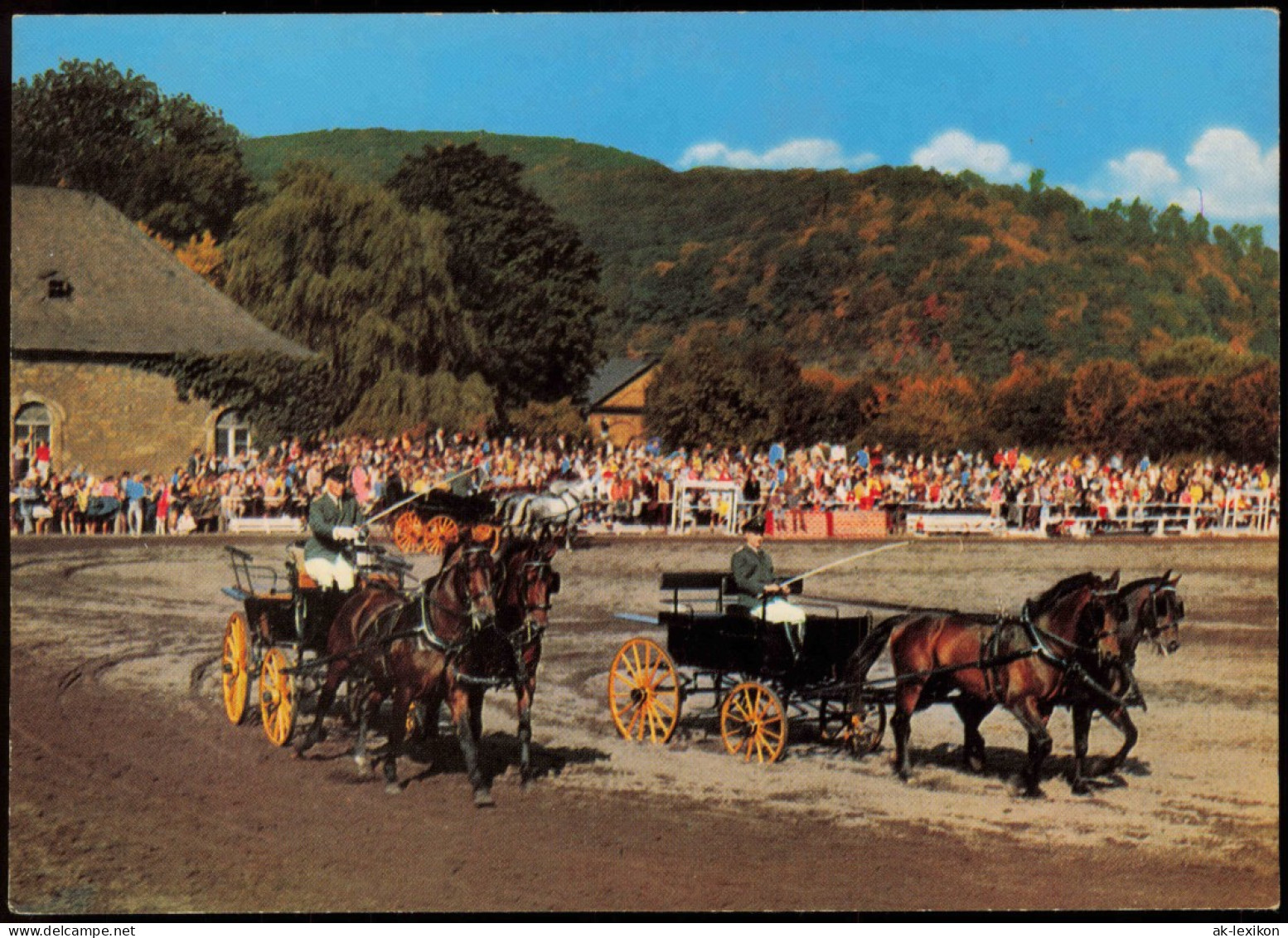 Ansichtskarte Dillenburg Hessisches Landgestüt (Hengstparade) 1968 - Dillenburg