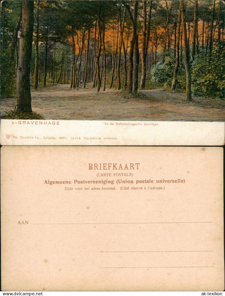 Postkaart Den Haag Den Haag In De Scheveningsche Boschjes 1903 - Den Haag ('s-Gravenhage)