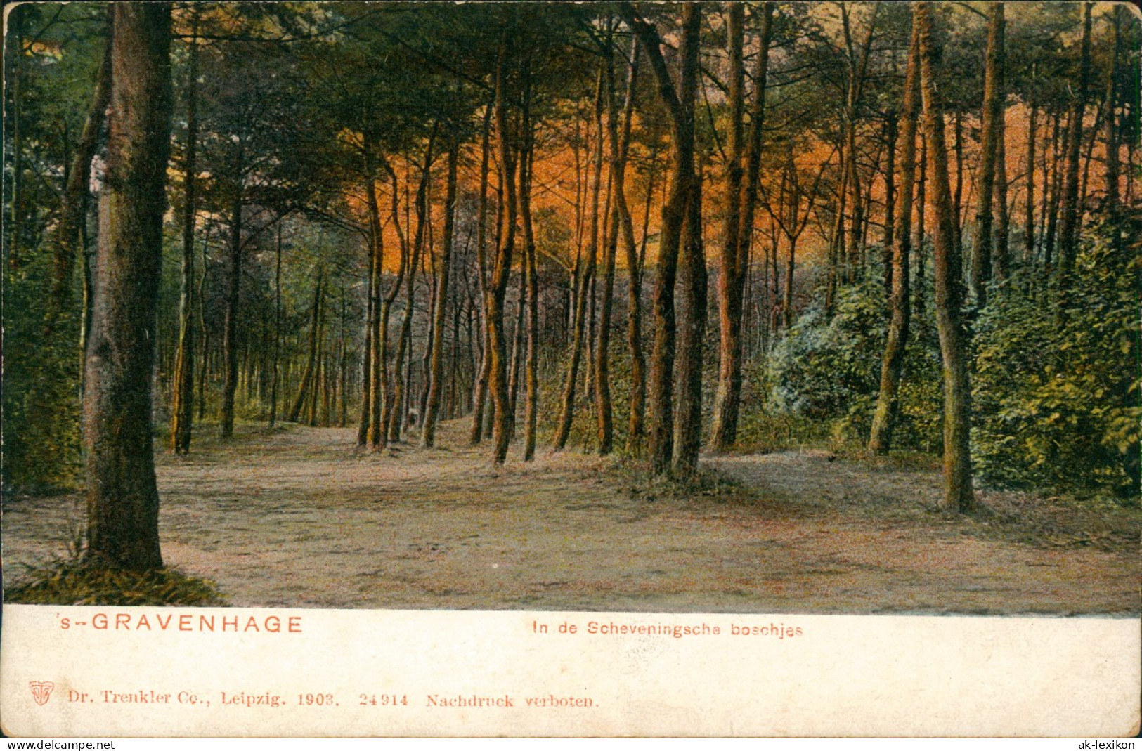 Postkaart Den Haag Den Haag In De Scheveningsche Boschjes 1903 - Den Haag ('s-Gravenhage)