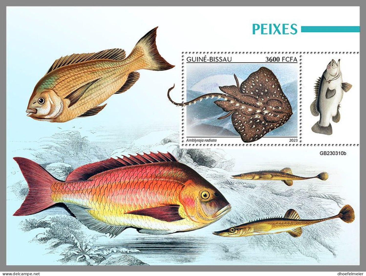 GUINEA-BISSAU 2023 MNH Fishes Fische S/S – IMPERFORATED – DHQ2416 - Fishes