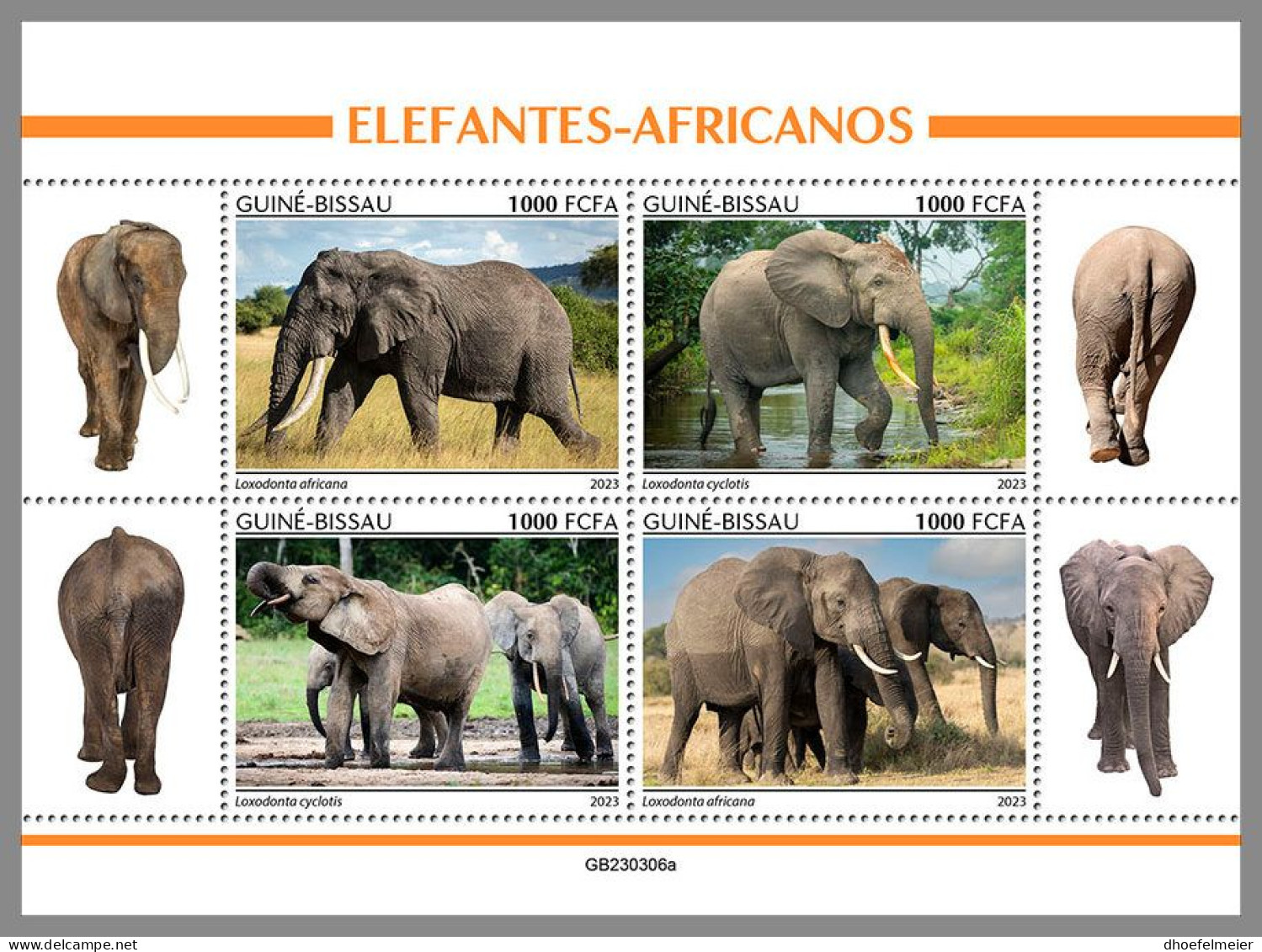 GUINEA-BISSAU 2023 MNH Elephants Elefanten M/S – IMPERFORATED – DHQ2416 - Elephants