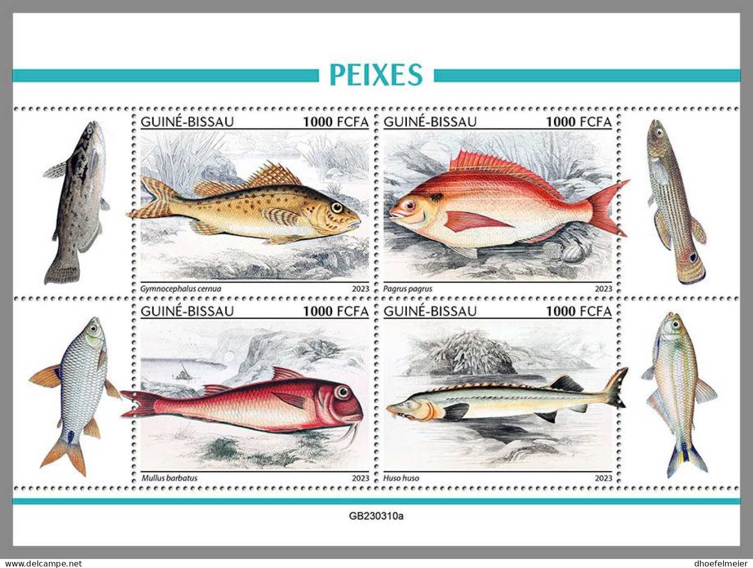 GUINEA-BISSAU 2023 MNH Fishes Fische M/S – OFFICIAL ISSUE – DHQ2416 - Fishes