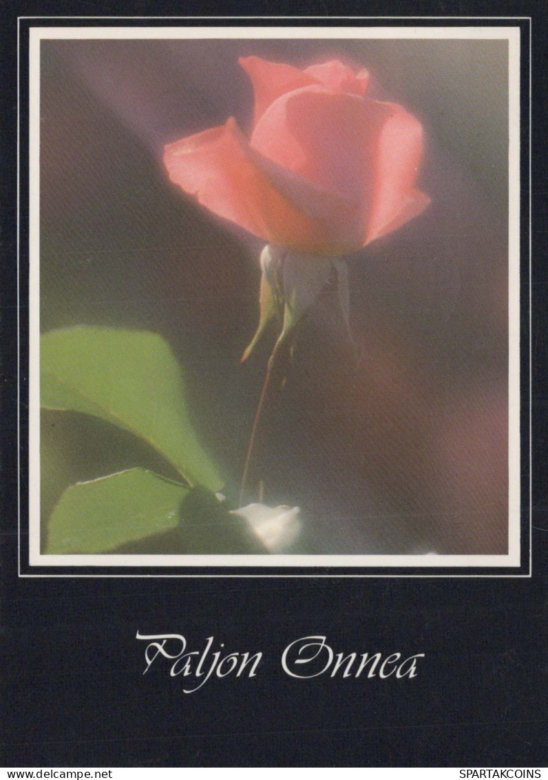 FLOWERS Vintage Ansichtskarte Postkarte CPSM #PAS243.A - Fiori