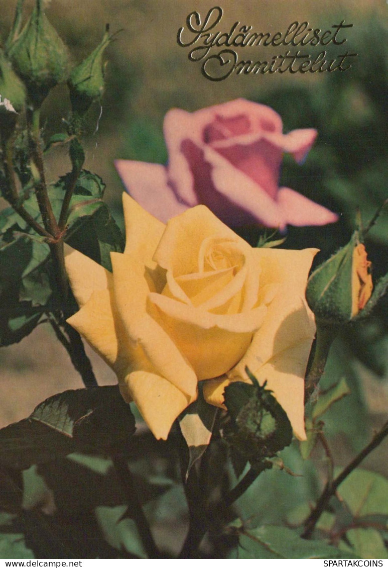 FLOWERS Vintage Postcard CPSM #PAS174.A - Fiori