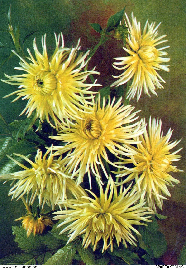 FLOWERS Vintage Ansichtskarte Postkarte CPSM #PAR177.A - Flowers