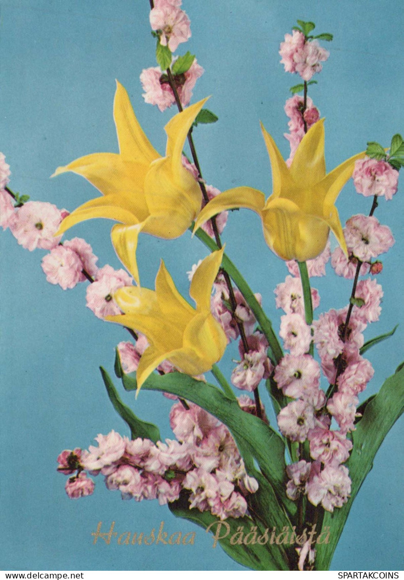 FLOWERS Vintage Postcard CPSM #PAR078.A - Flowers
