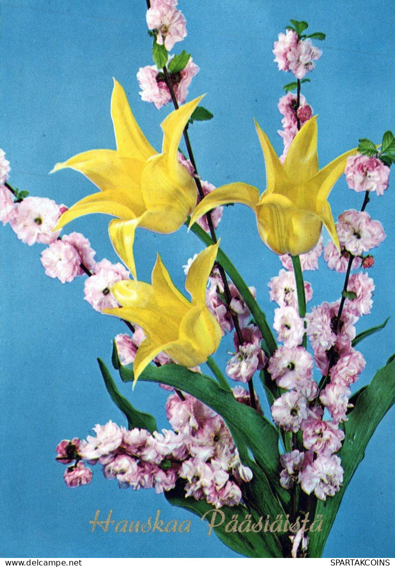 FLOWERS Vintage Postcard CPSM #PAR078.A - Flowers