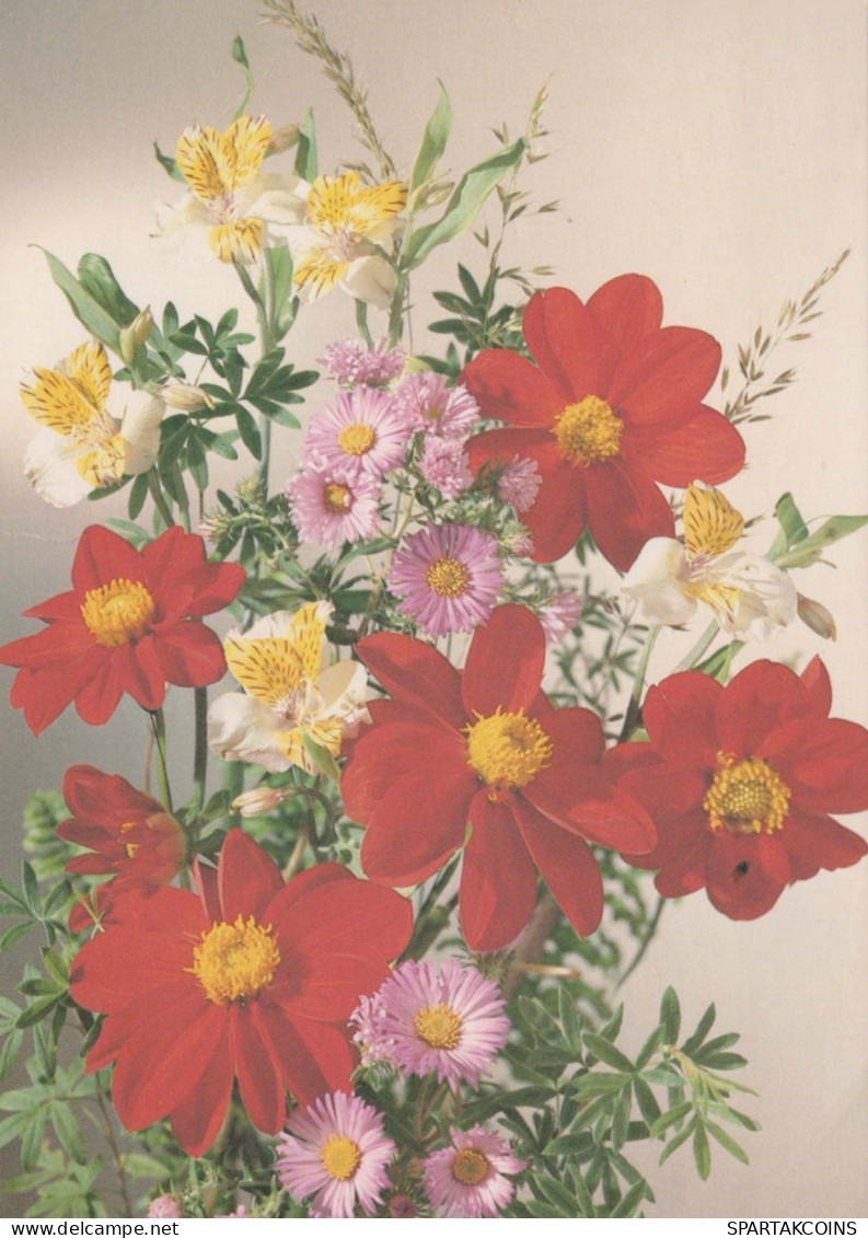 FLOWERS Vintage Postcard CPSM #PAR173.A - Flowers