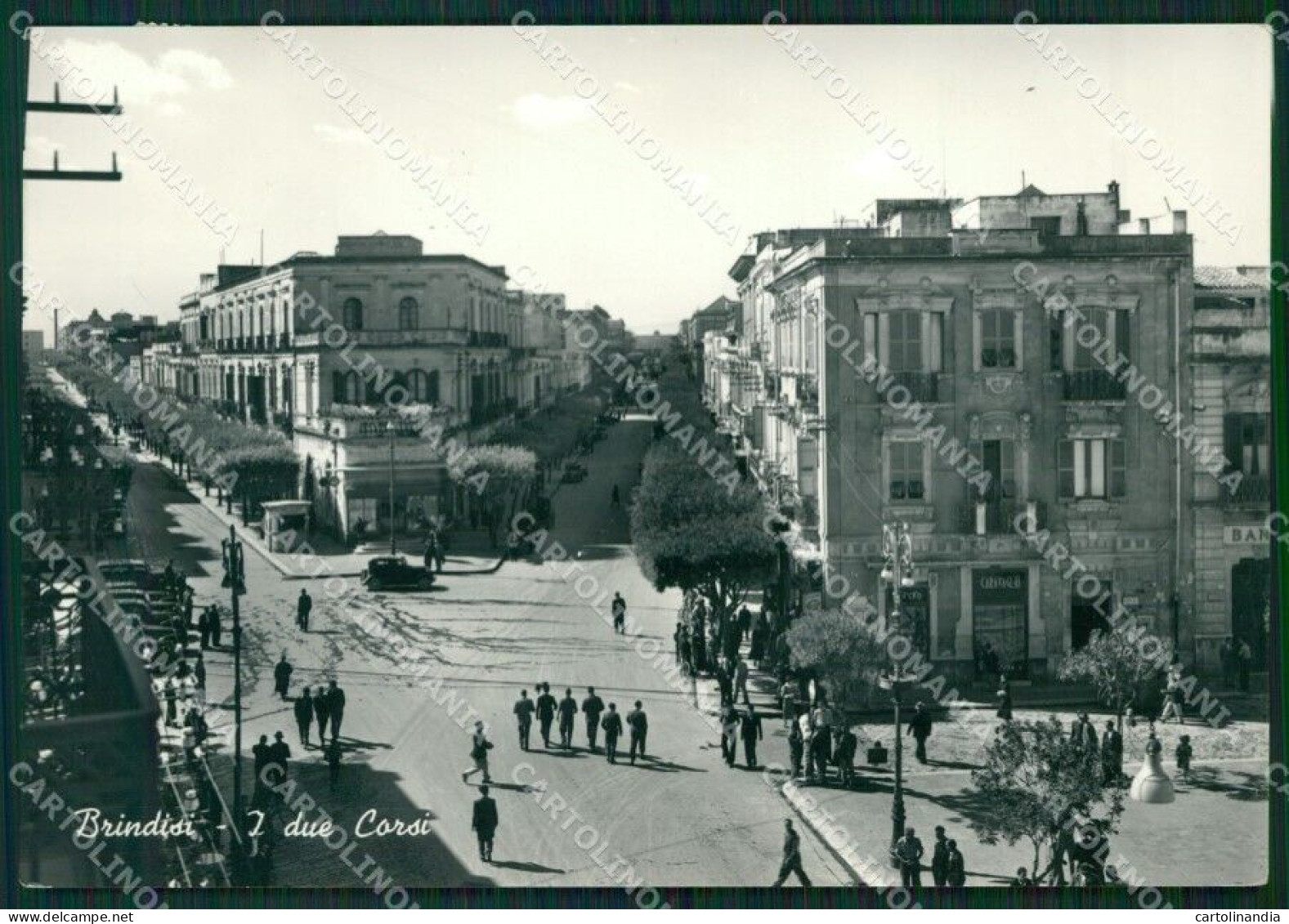 Brindisi Città Foto FG Cartolina ZKM8398 - Brindisi