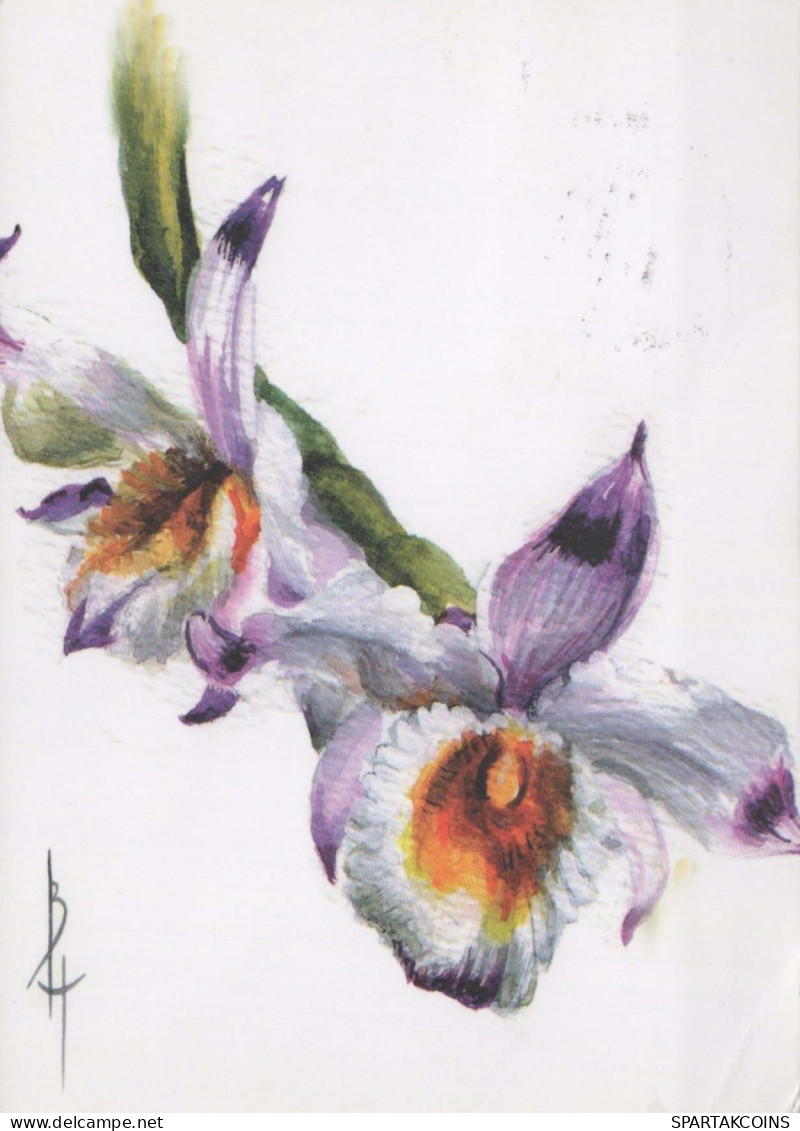 FLOWERS Vintage Postcard CPSM #PBZ029.A - Bloemen